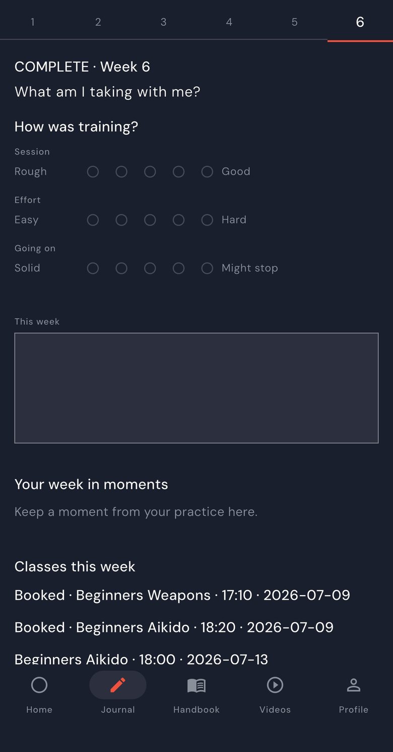 BECOME journal screen: a week six check-in on a phone